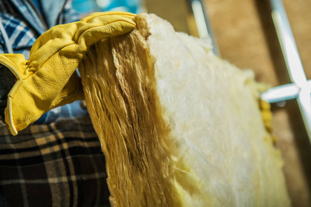 Best Local Insulation Services  in Roseville, MN
