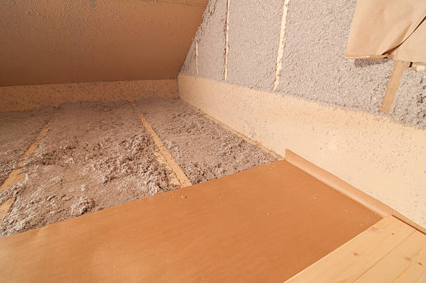 Best Insulation Removal  in Roseville, MN